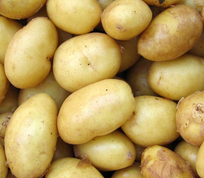 Patatas agria granel
